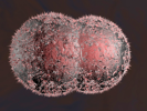 learn more