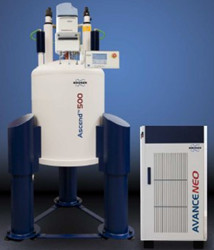 Bruker AVANCE NEO 600 MHz NMR Spectrometer