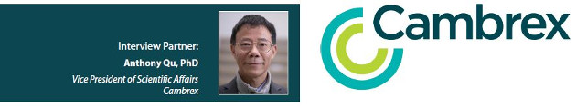 An Interview with… Anthony Qu, PhD, Cambrex