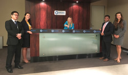 Ventana PD-L1 (SP263) Assay staining in urothelial carcinoma