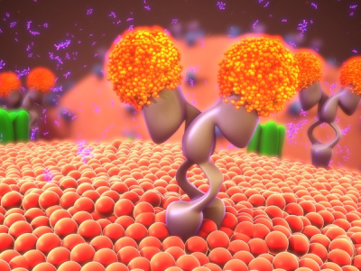 How a New Rapid EMSA Method is Impacting Plasma Protein Binding in ...