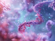 An ADME Guide for Successful siRNA Therapeutics: Insights from Approved Drugs