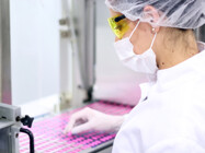 Horizon Lines: A Quarterly Review of NDAs – July-September 2025