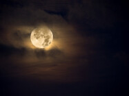 From Lunar Orbit to First in Human: The High Stakes of Bold Science