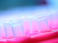 Rethinking the Oligonucleotide Journey