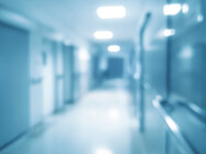 From Data to Tissue