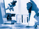 Contract Pharmaceutical Preformulation Development Services