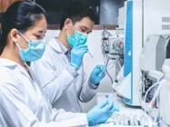 Drug Metabolism Pharmacokinetics Services (Contract DMPK Services)