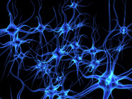 Neurology CRO (Contract Clinical Research Organization)