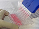 Pharmaceutical Cytology Testing Services