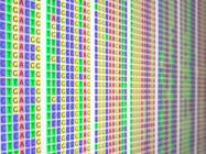 Pharmaceutical Genomic Services / Genetic Analysis Services (DNA / RNA / Viral)