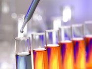 Phase II Clinical Research Organizations (Phase II CRO)