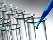 Phase III Clinical Research Organizations (Phase III CRO)