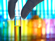 Phase IV Clinical Research Organizations (Phase IV CRO)