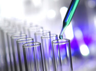 Preclinical Diabetes Pharmacology Services