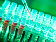 Preclinical Genotoxicity Testing Services (Genetic Toxicity)