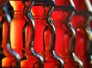 Preclinical Toxicology Testing Services (in vitro)