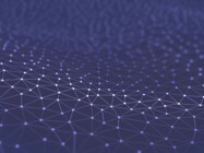 Xenograft Tumor Models / Xenograft Model Services