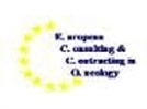 European Consulting & Contracting in Oncology